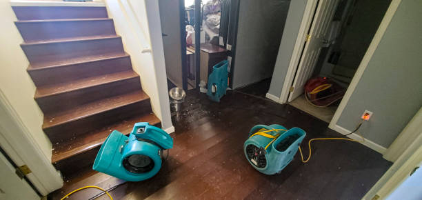 Best Professional water damage repair  in Saddle River, NJ