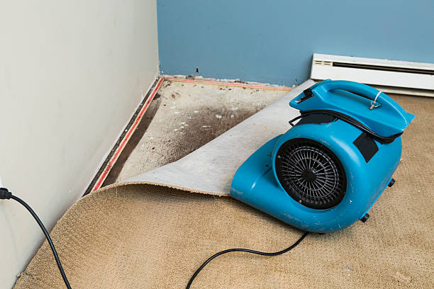 Best Water damage cleanup near me  in Saddle River, NJ